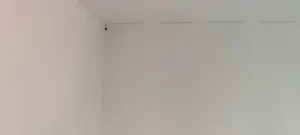 Kunststoff Terrarium Bild 2