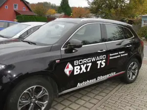Borgward BX7 TS Vollausstattung Leder/ NAVI / ALU/ PANO / ALLRA