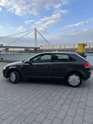 Audi A3 1.6 Attraction Bild 2