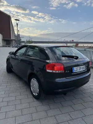 Audi A3 1.6 Attraction Bild 3