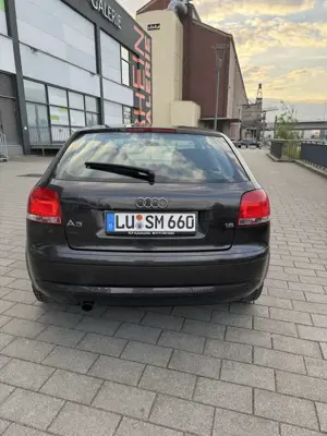 Audi A3 1.6 Attraction Bild 4