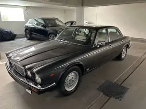 Jaguar XJ12 Daimler Bild 2