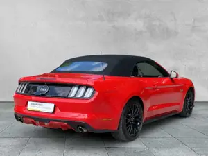 Ford GT CONVERTIBLE 5.0 Ti-VCT V8 Cabriolet NAVI+SHZ+ Bild 5 Ford GT CONVERTIBLE 5.0 Ti-VCT V8 Cabriolet NAVI+SHZ+ Bild 5