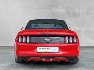 Ford GT CONVERTIBLE 5.0 Ti-VCT V8 Cabriolet NAVI+SHZ+ Bild 4 Ford GT CONVERTIBLE 5.0 Ti-VCT V8 Cabriolet NAVI+SHZ+ Bild 4