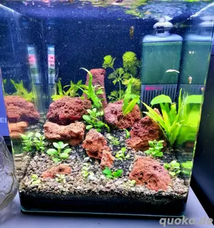 Aquarium Steine zu verkaufen 