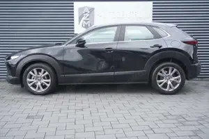 Mazda CX-30 AUTOMATIK|ALLRAD|HEAD-UP|KAMERA|LED|NAVI Bild 4