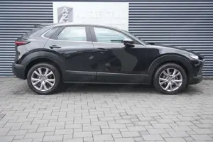 Mazda CX-30 AUTOMATIK|ALLRAD|HEAD-UP|KAMERA|LED|NAVI Bild 5