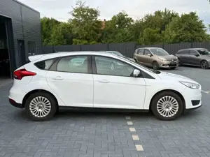 Ford Focus Bild 4