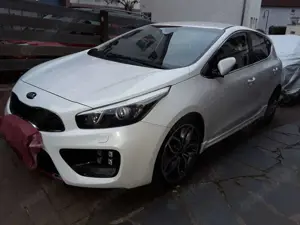 Kia Ceed / cee'd Ceed 1.6 T-GDI GT-Track Bild 3