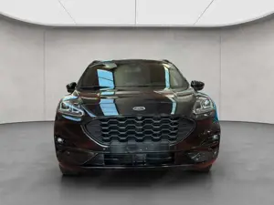 Ford Kuga Bild 5