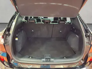 Ford Kuga Bild 3