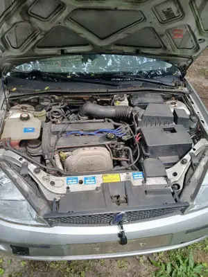 Ford Focus Focus Turnier Bild 3