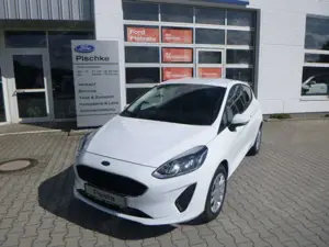 Ford Fiesta Trend Klima Heizb. WSS