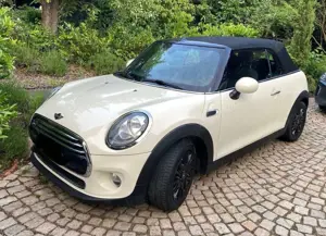 MINI Cooper Cabrio Ausstattungspaket Pepper