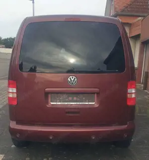 Volkswagen Caddy Roncalli Edition Bild 2
