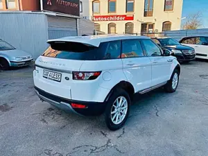 Land Rover Range Rover Evoque 2.2 TD4 Pure Bild 3