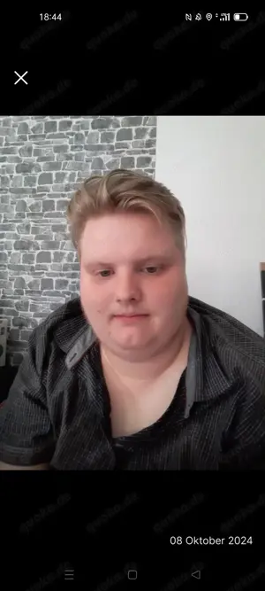 M23 sucht Hengst