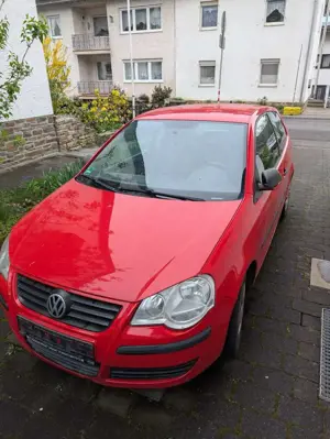 Volkswagen Polo Trendline Bild 2