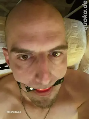 ich stelle mich heute abend zum schwänze zu blasen zu Verfügung 