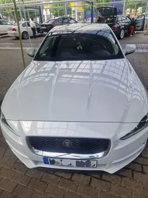 Jaguar XE XE 20d AWD Aut. Pure
