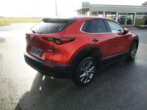 Mazda CX-30 2.0 Edition 100 Mild Hybrid Bild 4