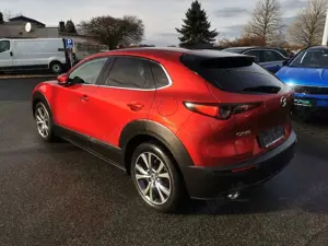 Mazda CX-30 2.0 Edition 100 Mild Hybrid Bild 3
