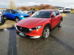 Mazda CX-30 2.0 Edition 100 Mild Hybrid Bild 2
