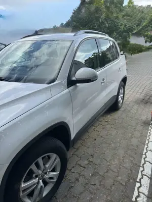 Volkswagen Tiguan 1.4 TSI BlueMotion Technology Freestyle Bild 2