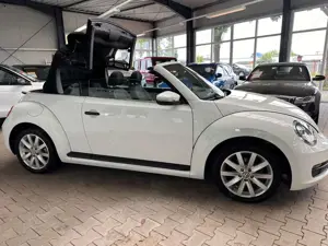 Volkswagen Beetle Cabriolet Basis BMT,Automatik,1.HAND
