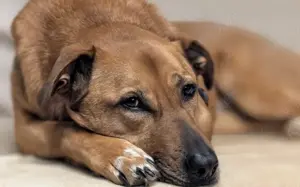 Die süße Finja möchte noch viel erleben