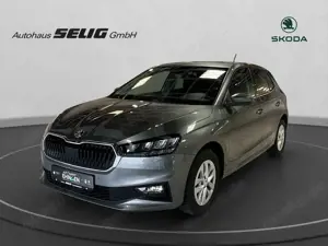 Skoda Fabia 1.0 TSI 95 PS Ambition,PDC,SH,Climatronic,