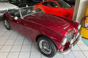 Austin-Healey 100 -six BN4 Roadster im Topzustand Bild 3