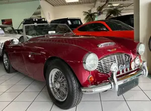 Austin-Healey 100 -six BN4 Roadster im Topzustand Bild 2