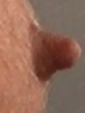 Suche M E I N E Herrin die mich für immer besitzen möchte (FLR)
