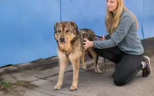 Schenkst du Mani ein warmes Körbchen?