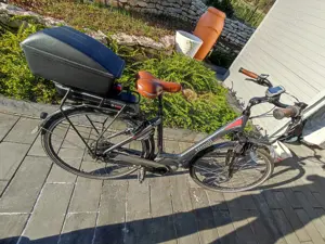 E-Bike-Trenoli Urbano Bild 4