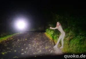 Welche devote Sie (18+) möchte nackt mit Halsband und Leine ausgeführt werden 