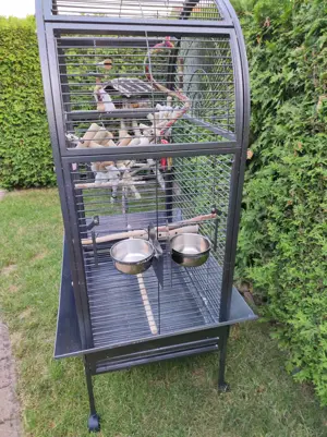 Vogelkäfig XXL