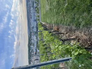     Lustiger Genießer (29) sucht entspannte Lady mit Lust auf mehr 