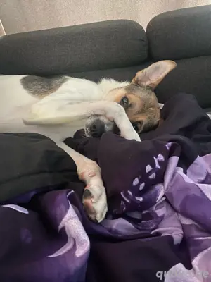 Hallo mein Name ist max 