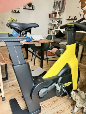 Technogym Bike Heimtrainer
