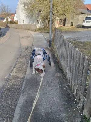 Pasquale sucht ein Wunder! Bild 6