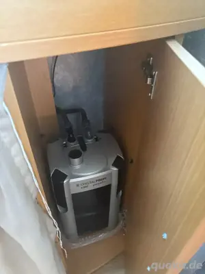 Panoramaaquarium Bild 6