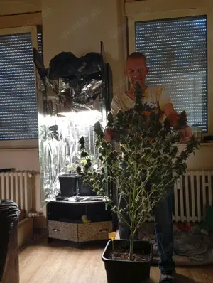 wir suchen eine frau wo gerne mich mal ausprobiert!