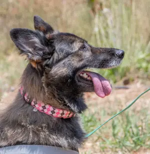 Luna, eine temperamentvolle Dame!