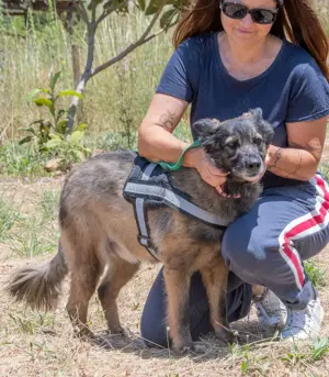 Luna, eine temperamentvolle Dame! Bild 4