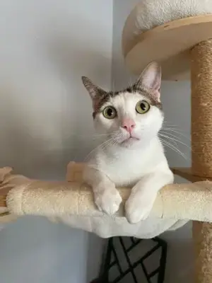 Caspar und Milo  Virneburg (ALO) Bild 10