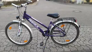 26 Zoll Pegasus Fahrrad mit Rücktrittsbremse, Mädchen oder Junge