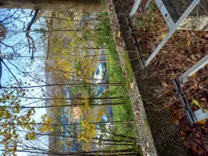 A3 Rastplatz Logebachtal oben am Berg Bild 2