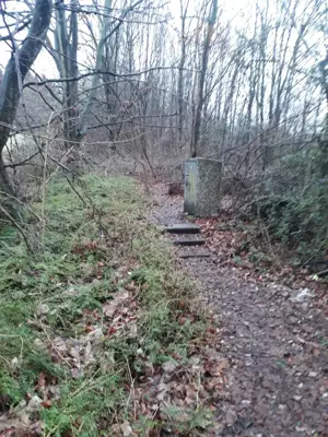 A3 Rastplatz Logebachtal oben am Berg